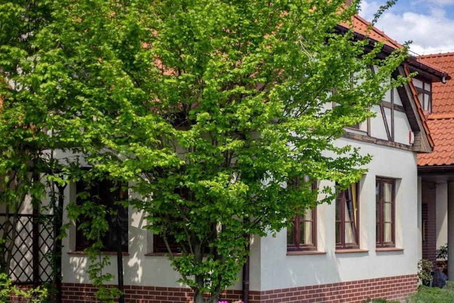 Villa Barbara Oborniki Śląskie Εξωτερικό φωτογραφία
