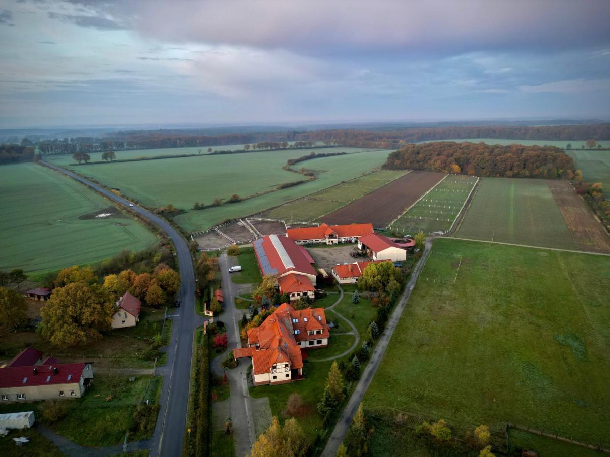 Villa Barbara Oborniki Śląskie Εξωτερικό φωτογραφία