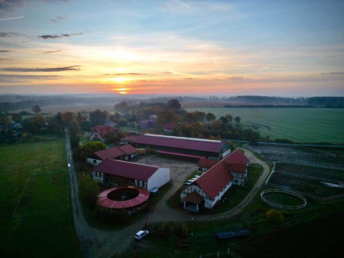 Villa Barbara Oborniki Śląskie Εξωτερικό φωτογραφία